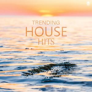 Album Trending House Hits from 