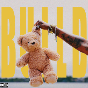 Album Build (Explicit) from Dono