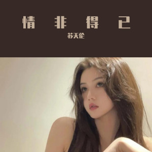 ดาวน์โหลดและฟังเพลง 爱我的人和我爱的人（DJ版） พร้อมเนื้อเพลงจาก 苏天伦