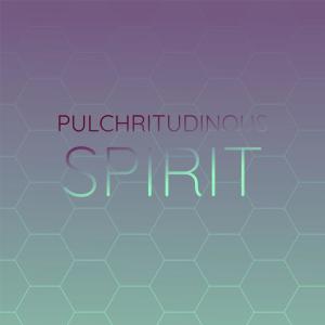 Pulchritudinous Spirit dari Various