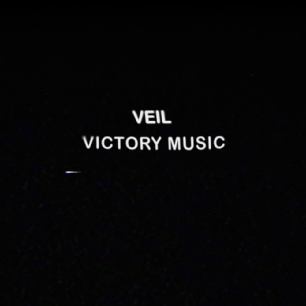 Veil