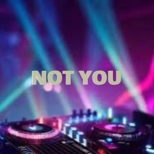 Listen to ALAN WALKER - NOT YOU song with lyrics from WIWI PROJECT RMX