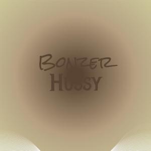 Album Bonzer Hussy oleh Various