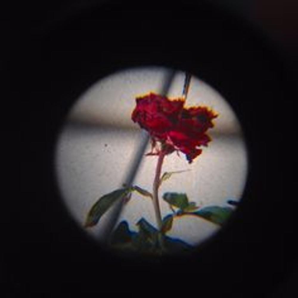 Heartless (Explicit)