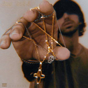 Listen to For Gold (Explicit) song with lyrics from OneZeno