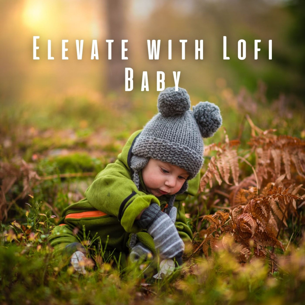 Soft Baby's Lofi