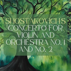 ดาวน์โหลดและฟังเพลง Concerto for Violin and Orchestra No. 2, Op. 129: I พร้อมเนื้อเพลงจาก Antonina Petrov
