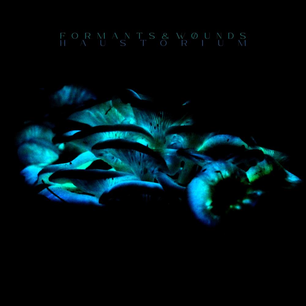 Cordyceps (feat. Formants & wøunds)