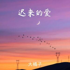 Album 迟来的爱 from 大橘子