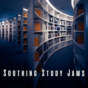 lofi stu的專輯Soothing Study Jams: Lofi Tunes for Cognitive Enhancement