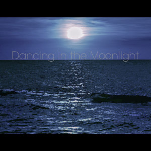 Listen to Dancing in the Moonlight song with lyrics from 로파이