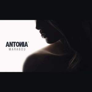 ดาวน์โหลดและฟังเพลง Marabou (Radio Edit) พร้อมเนื้อเพลงจาก Antonia