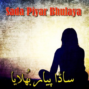 收听Kazim Ali Shah的Jina Pichay Sangtan歌词歌曲