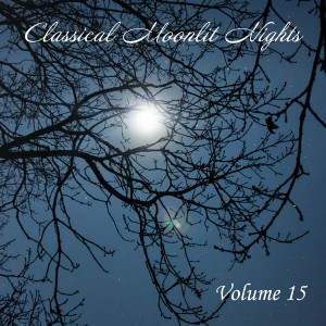 收听Pro Arte Orchestra的Alas! I Waver To and Fro歌词歌曲