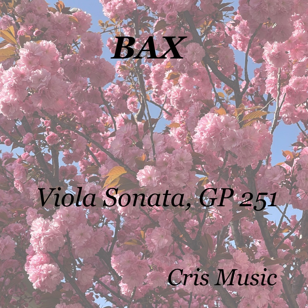 Viola Sonata, GP 251, 3. Molto lento
