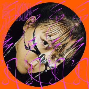 Listen to 猫咬猫 song with lyrics from 高小糕