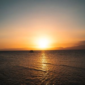 Listen to Whale Sounds song with lyrics from Relaxing Music