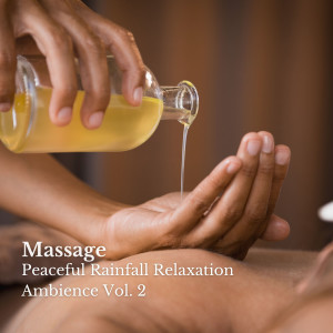 Rain Sounds Nature Collection的專輯Massage: Peaceful Rainfall Relaxation Ambience Vol. 2