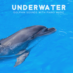 Underwater Dolphin Sounds with Piano Music (Autism Calming Sensory, Psycho Therapy for Kids)