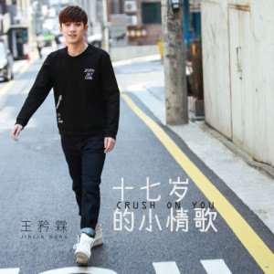 收聽王矜霖的十七歲的小情歌歌詞歌曲