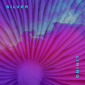 ดาวน์โหลดและฟังเพลง Silver Lining พร้อมเนื้อเพลงจาก New Bleach