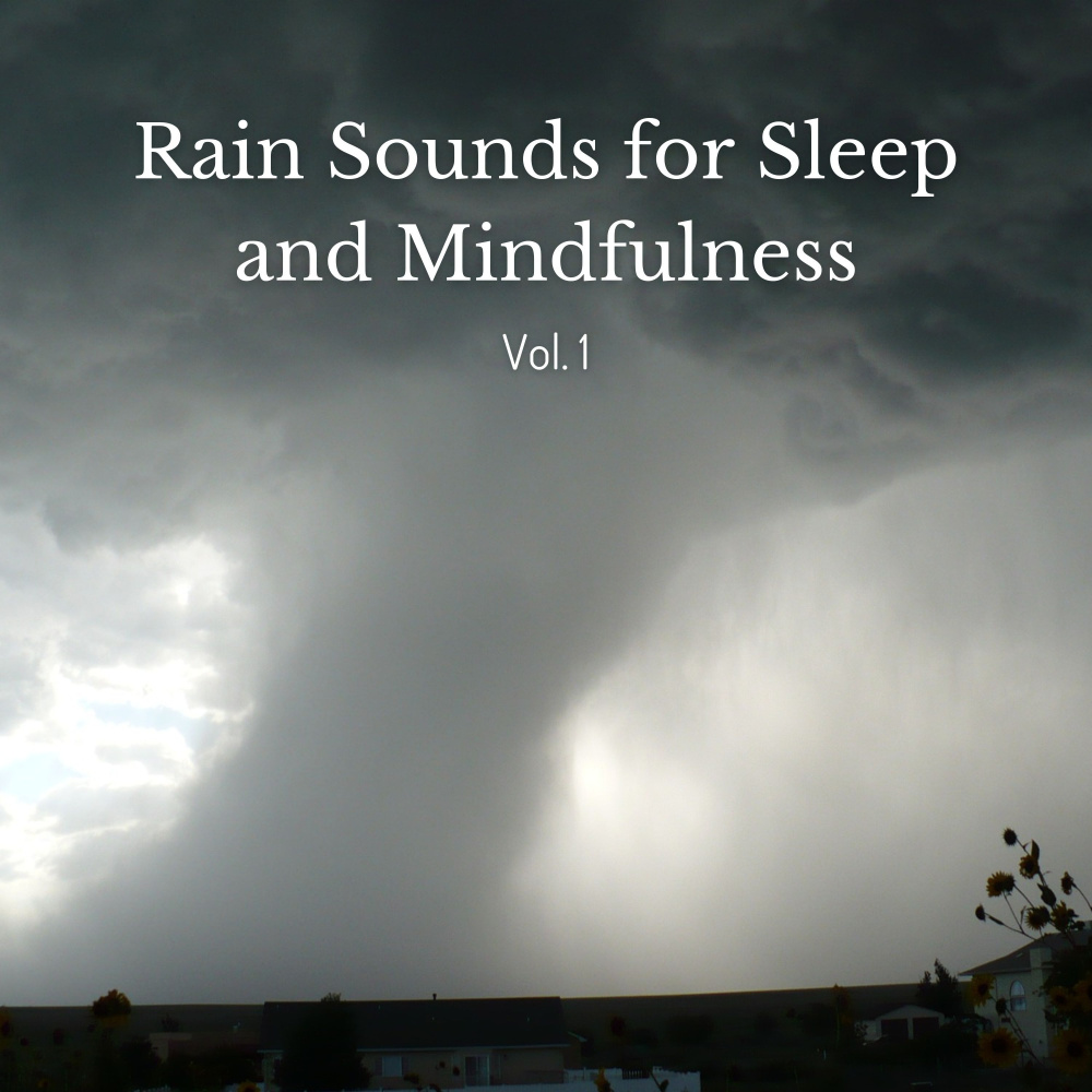 Relaxing and Healing Rain Music