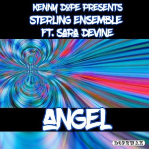 ดาวน์โหลดและฟังเพลง Angel (其他|Frankie Feliciano Classic Instrumental Mix) พร้อมเนื้อเพลงจาก Sara Devine