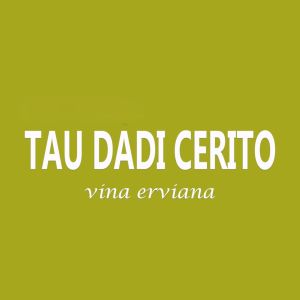 Vina Erviana的专辑Tau Dadi Cerito