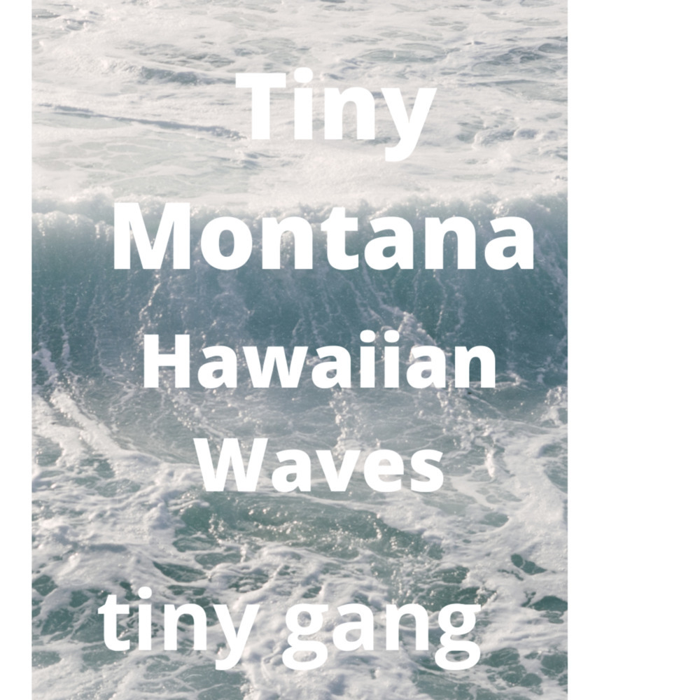 Hawaiian Waves (Explicit)