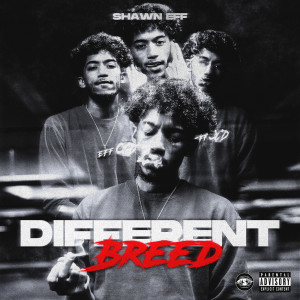 Album Different Breed from Shawn Eff