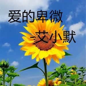 Listen to 爱的卑微 song with lyrics from 艾小默