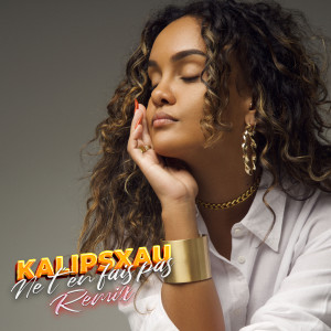 Listen to NE T'EN FAIS PAS (Remix) song with lyrics from Kalipsxau