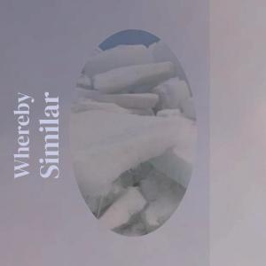 Listen to Whereby Similar song with lyrics from Sett Espen