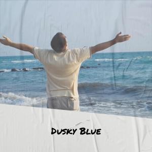 Album Dusky Blue from Various Artists