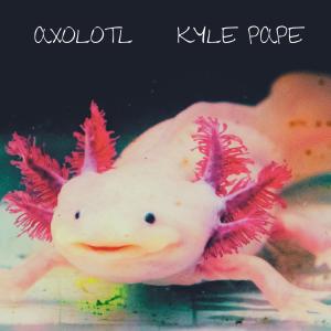 Dengarkan Axolotl (Acoustic Version) lagu dari Kyle pape dengan lirik