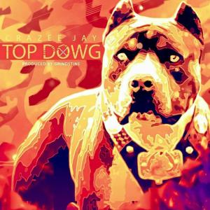 Listen to Top Dowg (Explicit) song with lyrics from Crazee jay