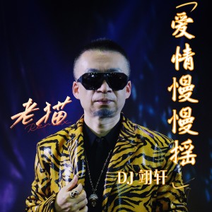 Album 爱情慢慢摇 DJ 翊轩 from 老猫
