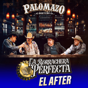 Listen to Playa Sola (En Vivo) song with lyrics from PALOMAZO NORTEÑO