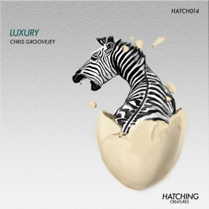 ดาวน์โหลดและฟังเพลง Luxury พร้อมเนื้อเพลงจาก Chris Groovejey