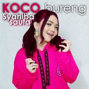 收聽Syahiba Saufa的Koco Bureng歌詞歌曲