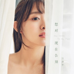 Listen to 想对现在告别 song with lyrics from 习谱予