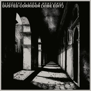 Album dusted corridor (vibe edit) from sleepless & lorn