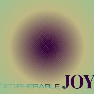 Various Artists的專輯Decipherable Joy