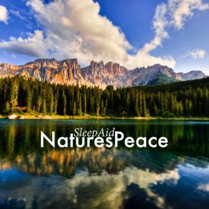 收聽Sleep Music with Nature Sounds Relaxation的Evening Song歌詞歌曲