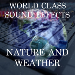 ดาวน์โหลดและฟังเพลง Waterfall Small Slappy Water Nature River Sound Effects Sound Effect Sounds EFX Sfx FX Nature and Weather Nature Waterfalls พร้อมเนื้อเพลงจาก World Class Sound Effects