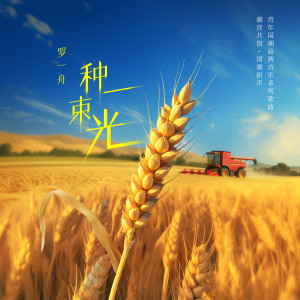 Listen to 种一束光 (伴奏) song with lyrics from 罗一舟