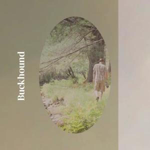 Listen to Lead Forever song with lyrics from Hlin Halh
