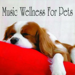 Chris Glassfield的专辑Music Wellness for Pets, Vol. 1