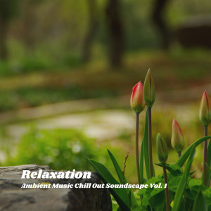 Relaxation: Ambient Music Chill Out Soundscape Vol. 1
