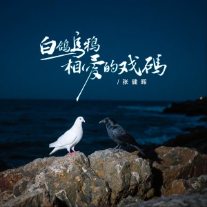 Listen to 白鸽乌鸦相爱的戏码 (粤语版) song with lyrics from 张健晖